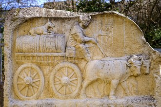 Roman half relief, ox cart with wine barrels, at the Afrawald, Roman Augsburg, Augsburg, Swabia,