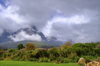 Mountains Jonkershoek Nature Reserve from Oldenburgt Wine Estate, Oldenburg Vineyards, Banghoek,