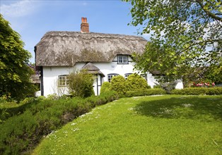 Pretty thatched country cottage in the village of Allington, Wiltshire, England, United Kingdom,