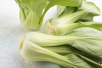 Fresh green bok choy or pac choi chinese cabbage on a white concrete background. Side view, close