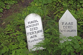 Gravestones at the old gold rush cemetery in Skagway, Gold Rush, Alaska, USA, North America