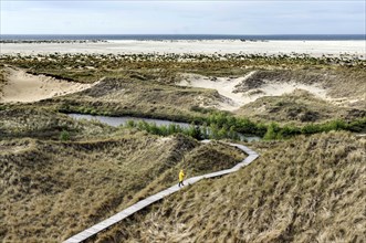 Woman with yellow rain jacket walking along a boardwalk in the dunes, Amrum Island, Wittdün,