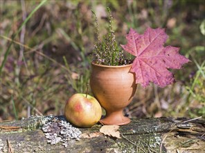 A clay cup with heather, apple and red leaves. still life