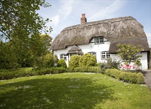 Pretty thatched country cottage in the village of Allington, Wiltshire, England, United Kingdom,