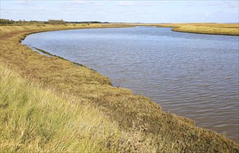 Landscape at high tide Barthorp's Creek, Hollesley Bay, near Shingle Street, Suffolk, England, UK