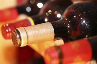 Wine cellar with red wine bottles