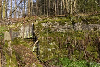 The Polenz is the right-hand, smaller source river of the Lachsbach in Saxony and flows through the