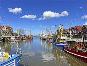 Crab cutter, harbour, Neuharlingersiel, East Frisia, Germany, Europe