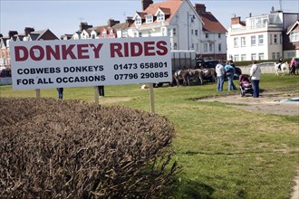 Donkey rides reappear after a gap of fifty years at Felixstowe, Suffolk, England, UK