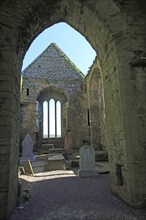 Historic ruins of Timoleague Friary, County Cork, Ireland, Irish Republic, Europe