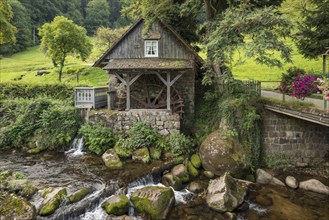 Historic mill, Mühlenweg, Ottenhöfen, Ortenau, Black Forest, Baden-Württemberg, Germany, Europe