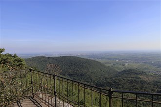 View of the Rhine plain from the summit plateau of the Orensberg (southern Wine Route)