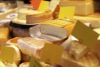 Cheese counter with a variety of different cheeses