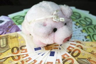 Euro banknotes with a pig as a symbol of good luck