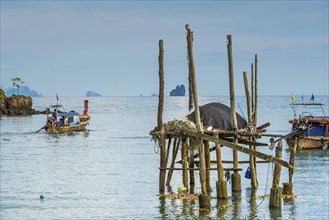 Remains of a jetty at Phang Nga bay near Koh Yao Noi, seascape, seascape, nature, longtail boat,