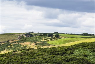 Rocks over Fields and Farms on S W Coast Path, Plymouth, South Devon, England, United Kingdom,