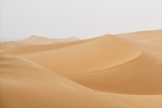 Dunes in the desert, Erg Chebbi, Sahara, Merzouga, Morocco, Africa