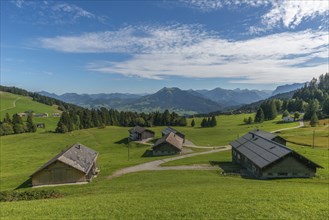 Bödele, landscape Bregrenzerwald, alpine pasture farming, alpine view, forest, Vorarlberg, Austria,