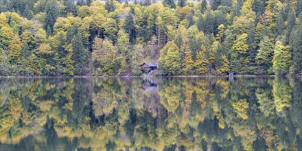 Freibergsee lake in autumn, near Oberstdorf, with the Allgäu Alps behind it, Allgäu, Bavaria,