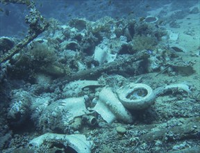 Ceramics, toilet bowls, wreck of the Jolanda, dive site Ras Mohammed Shark and Jolanda Reef, Red