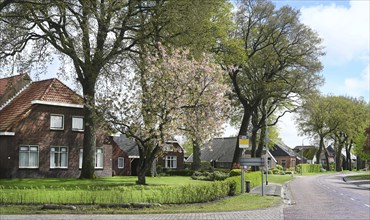 NL, Eesergroen: Spring characterises the landscape, towns and people in the province of Drenthe in