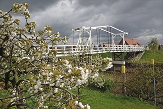 Europe, Germany, Hamburg Metropolitan Region, Altes Land near Hamburg, Hogendiek Bridge over the