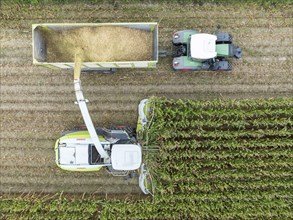 A tractor with silage transport wagon drives next to a forage harvester to load chopped maize,