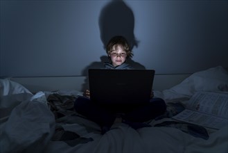 Boy, at home on the computer, laptop, in the children's room, playing a game