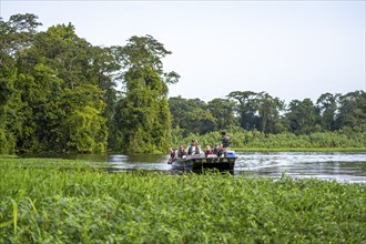 Tourists explore the river in the rainforest by boat, dense vegetation, Tortuguero National Park,