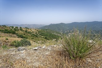 Landscape near Castroregio in the Pollino National Park, UNESCO Global Geopark, in the Calabria