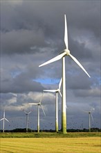 Wind turbines in front of stormy sky and rape field, East Frisia, Lower Saxony, Federal Republic of