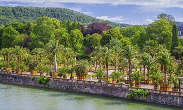 Castle moat with palm garden in the spa gardens, the largest outdoor palm garden north of the Alps,