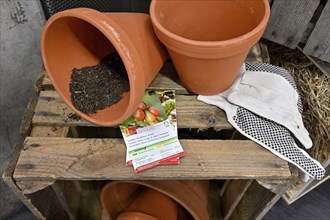 Flower pots and gardening gloves