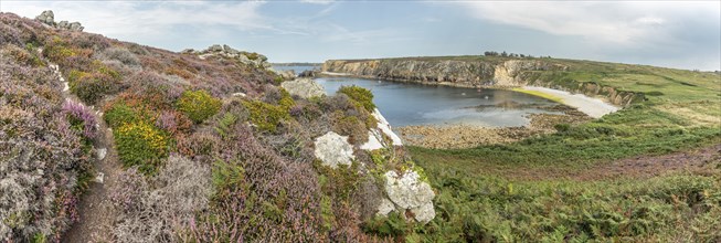 Pebble Beach on the Atlantic coast, panoramic view. Camaret, Crozon, Finistere, Brittany, France,