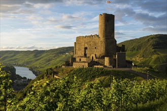 Landshut Castle, sunset, Moselsteig Trail, Bernkastel-Kues, Moselle, Rhineland-Palatinate, Germany,