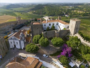 Aerial view of a castle complex with towers, a chapel and surrounding trees, embedded in a green