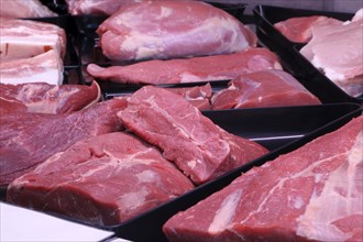 Variation of fine meat products in the butcher's shop