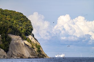 The chalk cliffs of Rügen, cliffs of the Stubbenkammer, in the Jasmund National Park, view of the