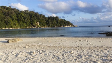 White sand beach on the tropical island. Malaysia