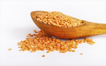 Pile of red lentils in a wooden spoon isolated on white background. Closeup