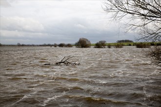 Flooding on the Somerset Levels, England in February 2014 River Yeo at Huish Episcopi