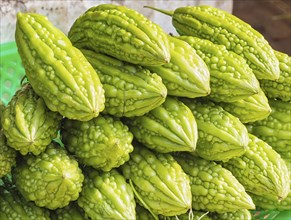 Fresh green momordica on the market