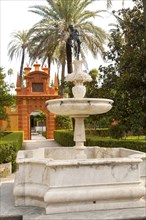 Gardens of the Alcazar palaces, Seville, Spain, Europe