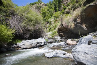 Rapids in the channel of the River Rio Poqueira gorge valley, High Alpujarras, Sierra Nevada,