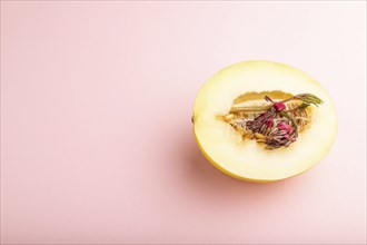 Sliced ripe yellow melon and dicentra flowers on pink pastel background. Side view, copy space.