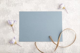 Blue paper sheet mockup with spring snowdrop crocus flowers on gray concrete background. Blank,