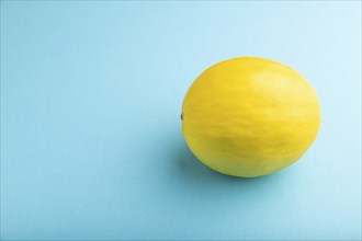 Ripe yellow melon on blue pastel background. Side view, copy space. harvest, healthy, vegan food,