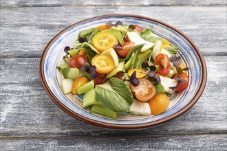 Vegetarian salad of pac choi cabbage, kiwi, tomatoes, kumquat, microgreen sprouts on gray wooden