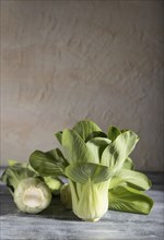 Fresh green bok choy or pac choi chinese cabbage on a gray wooden background. Hard light, contrast.