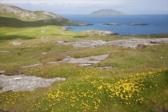 View over machair grassland to abandoned croft houses in the deserted village of Eorasdail,